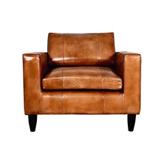 Hamilton Single Sofa - Natural Tan F-SN119-NT